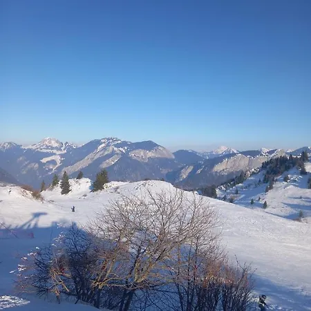 Le Paradis Des Haberes *